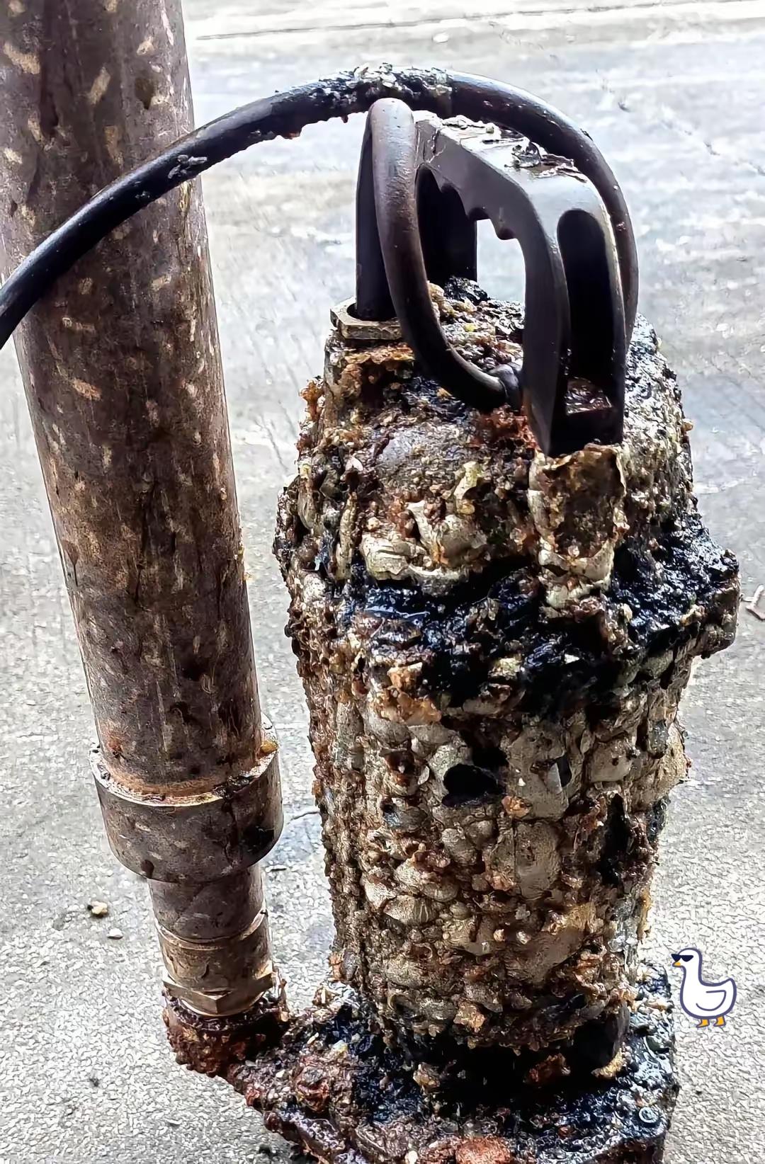 一台水泵，在水里泡了整整23年，没停过。这周终于坏了，老板第一反应不是生气