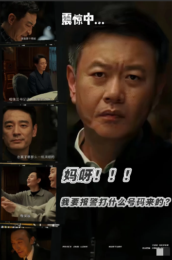 许言午，一个混在狼群堆里的哈士奇，除了装傻就是暗中递刀子，官场如戏，全凭演技！