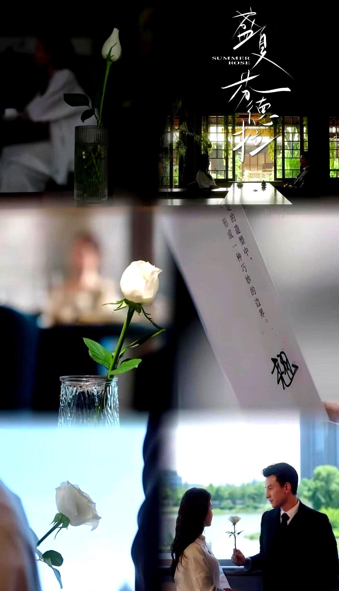 《盛夏芬德拉》不是爆了，是被整个系统接住了。广电把8平米写进选题指南，不是心疼