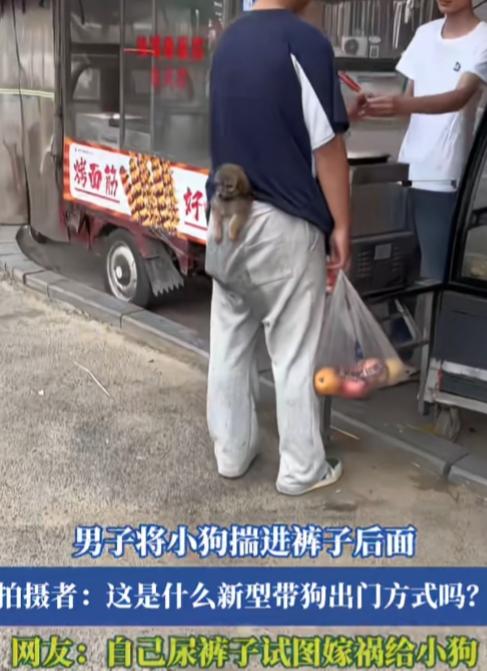 大型“甩锅”现场，这到底是他俩谁尿了？一网友出门拍到，一男子将小狗揣进裤子后