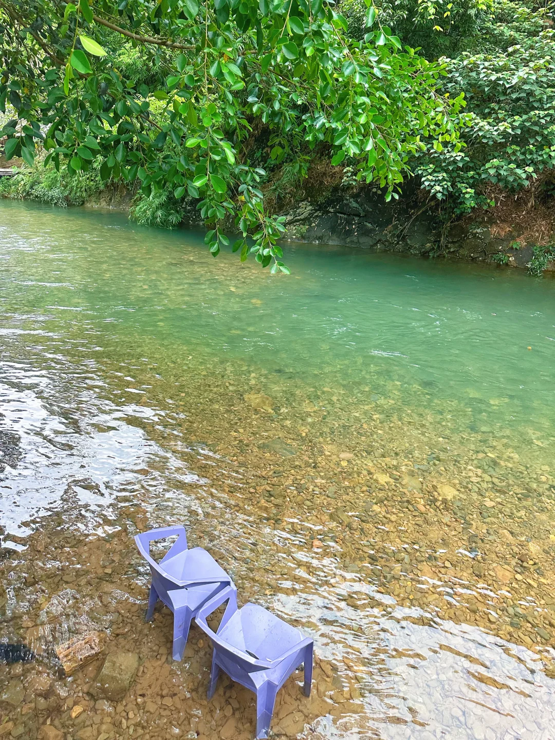 在20°的山里玩山泉溪流水真的太舒服了吧❗️