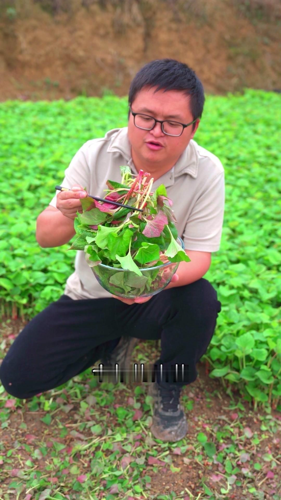野菜全身都是宝？凉拌太绝了！🌿头茬鱼腥草必须凉拌才够味儿！嫩根脆嫩带点独特香味