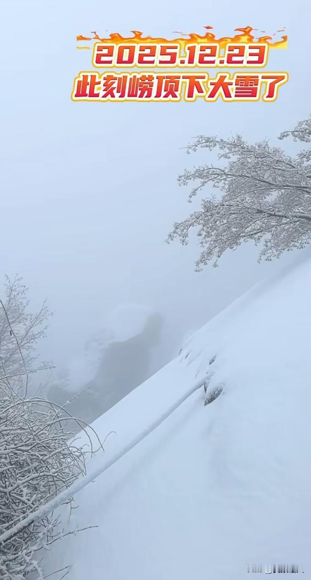 崂顶一夜白头！青岛人朋友圈被刷爆：绝美雾凇冰挂已上线，这条玩雪秘境路线赶紧收藏！
