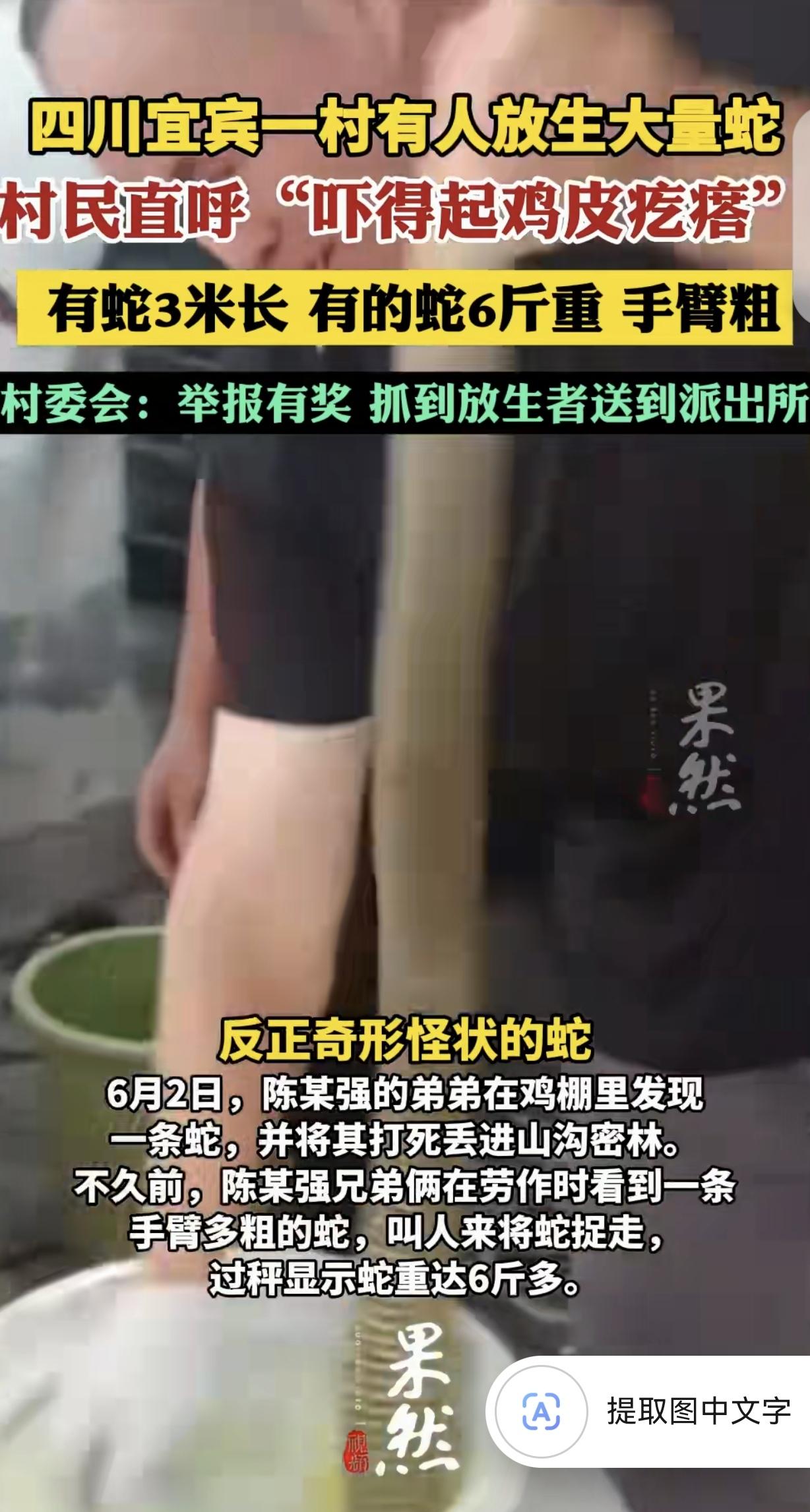 “缺大德了！”四川宜宾，一56岁男子，在自家院坝发现一条3米长的蛇，男子吓得不轻