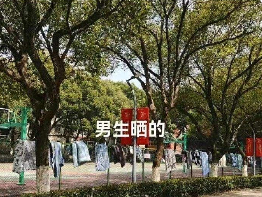 男生晒的被子Vs女生晒的被子，不得不说，还是女生的晒的好