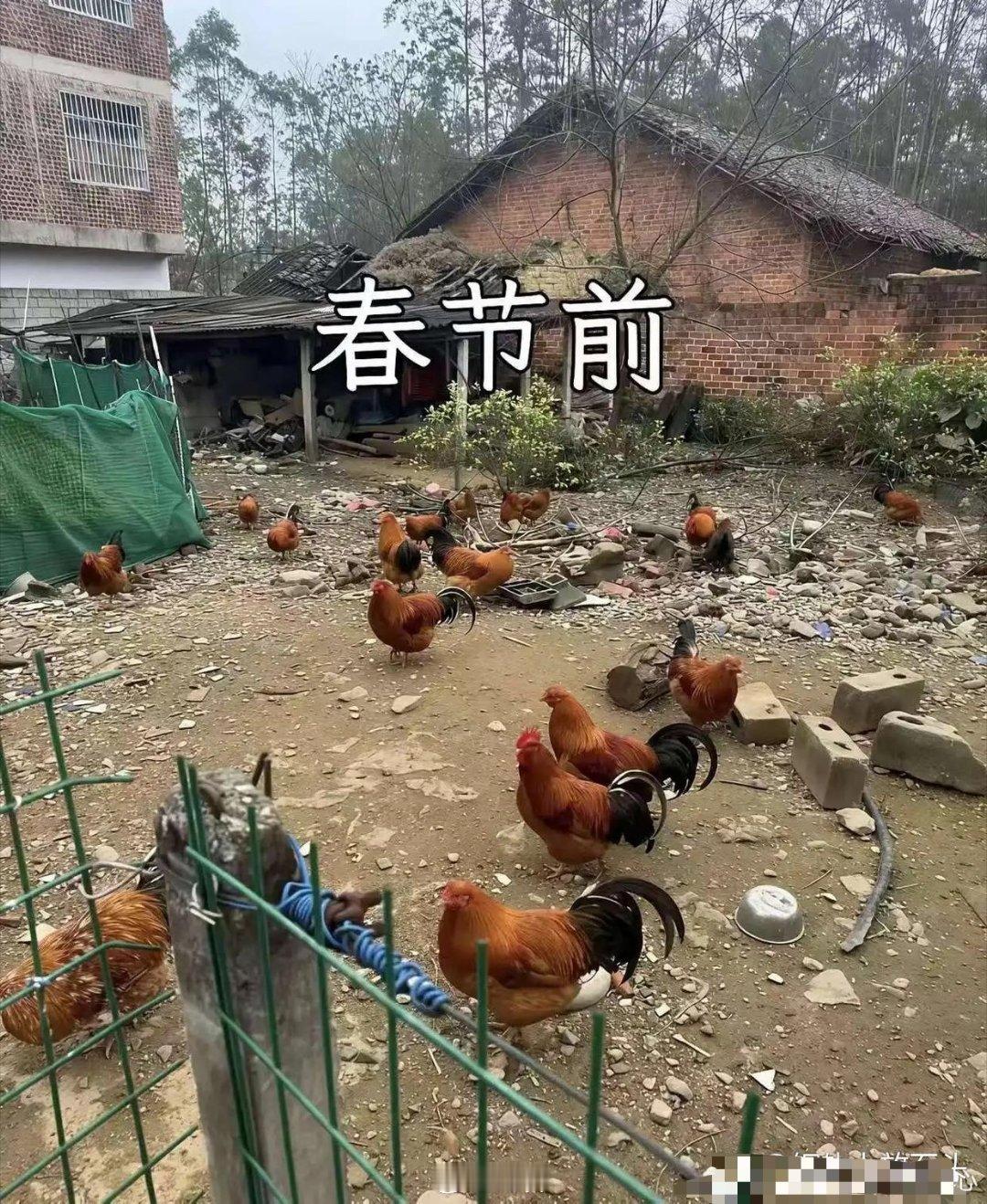 这张图你想到了什么