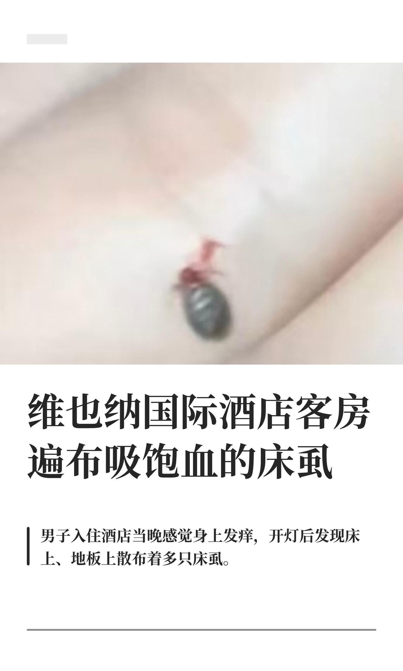 大连的邓先生7月底在上海出差，住维也纳国际酒店青浦路店，晚上身上痒，开灯一看——