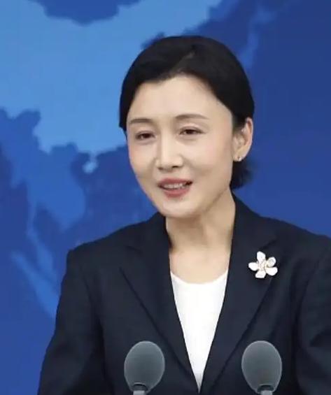 国台办发表严正声明，6月10日，针对大陆海警船航入东沙水域，与海巡署巡防舰发