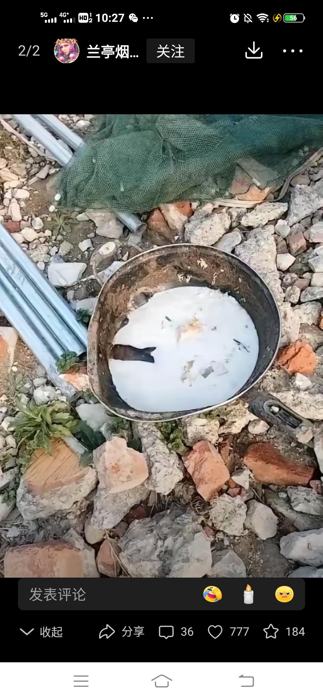 牛奶过期女子不敢喝，给自家狗子喝，一顿拉稀，两顿结果把狗喂死了！刚过期的牛奶可