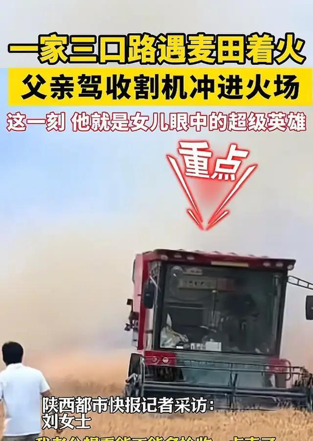 山东曹县，开收割机救麦子的小伙，最好的回报来了，不是被夸奖，不是被当地人感谢，而