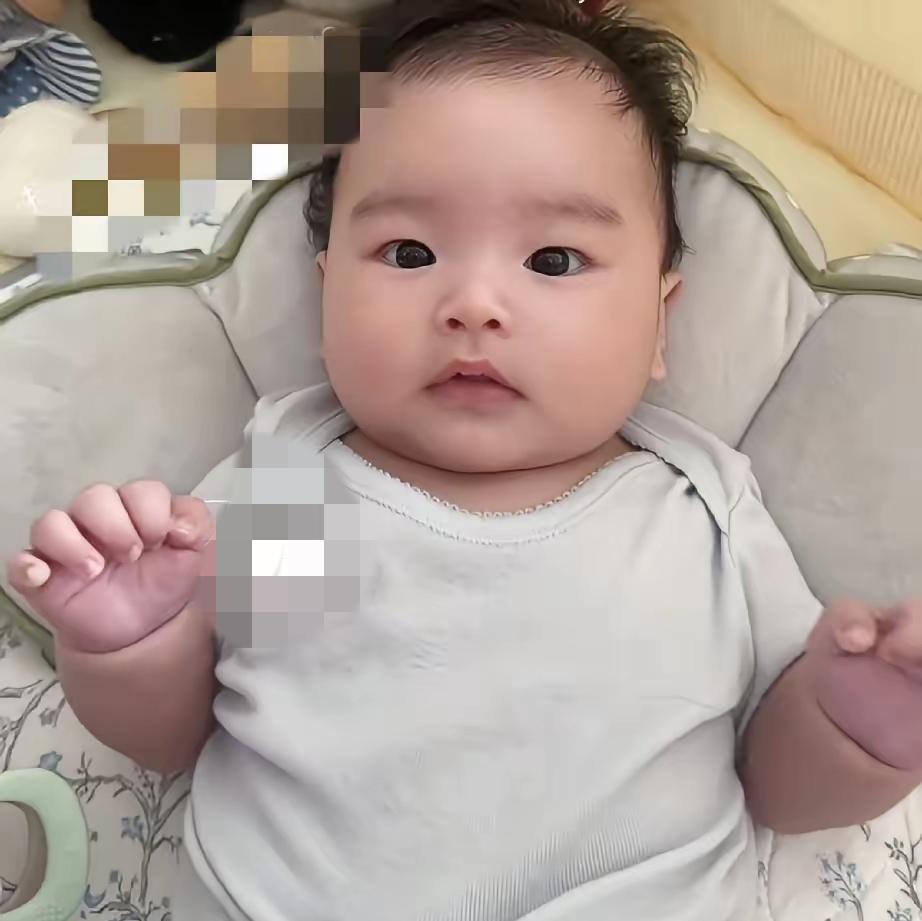 软萌幼崽也藏着满满元气！汪小菲幼子小汪宝的可爱日常曝光，家人接连分享孩子的暖心小