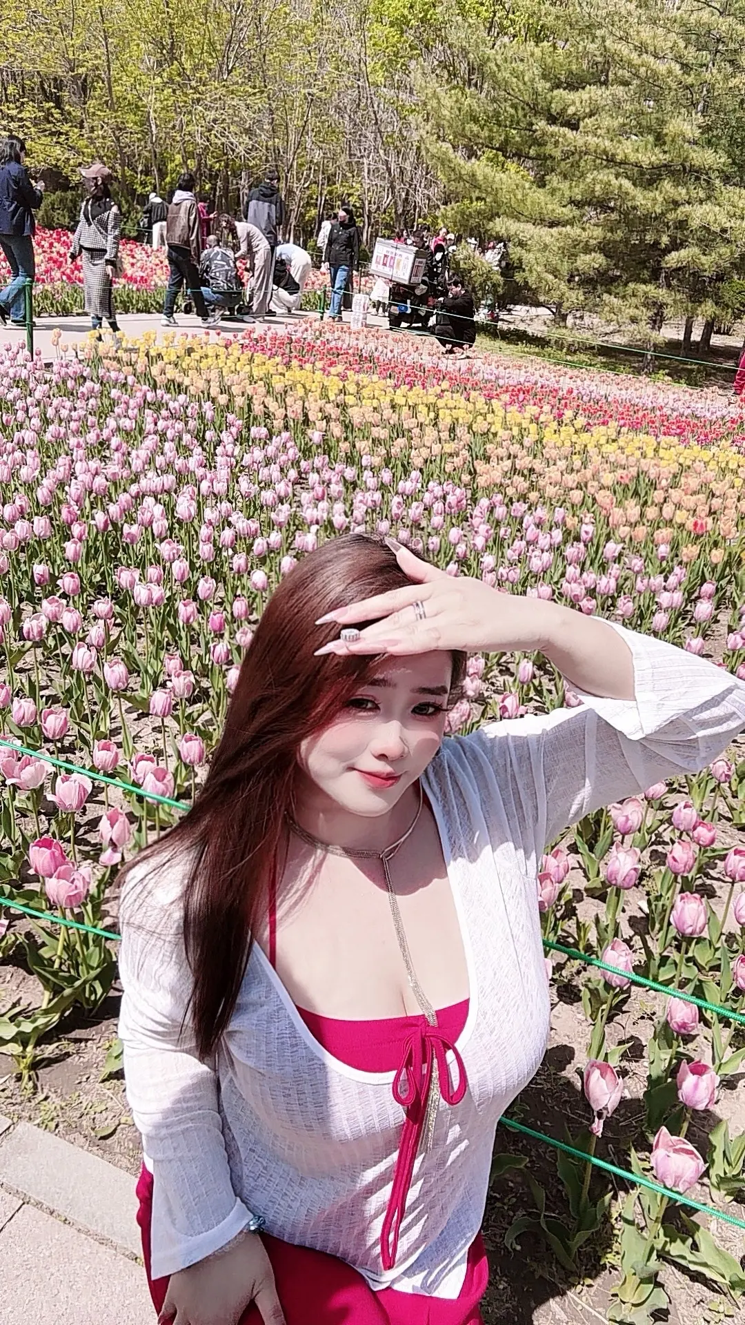 郁金香哪有姐姐香。