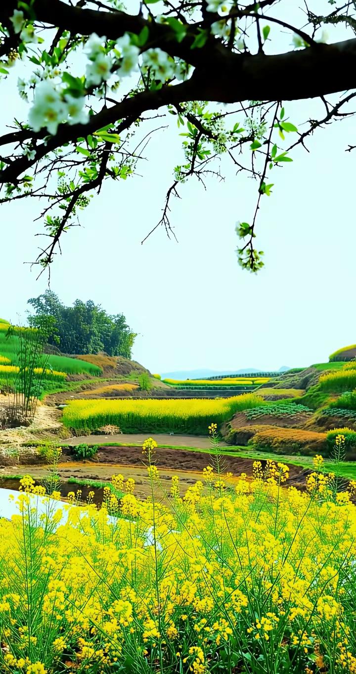 带好孙子的秘诀：有爱、有边界、不越位带孙子，不是管儿子，也不是替儿子儿媳
