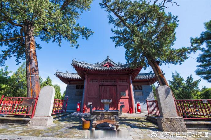 毗卢寺，石家庄市内唯一国家级文保单位。石家庄生活