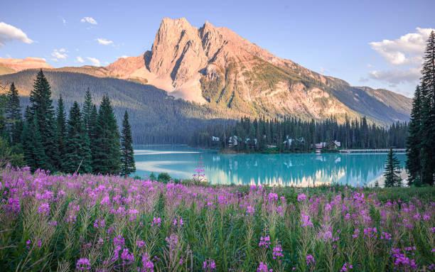 一位管理者说：真正的修养，不是碾压：高手面对“认知低的人”，用的是“帝王心术”