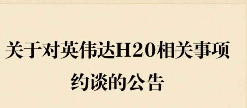 对英伟达H20的约谈公告，让自己犹豫了最近准备改善一下生活，给自己安排一只某米