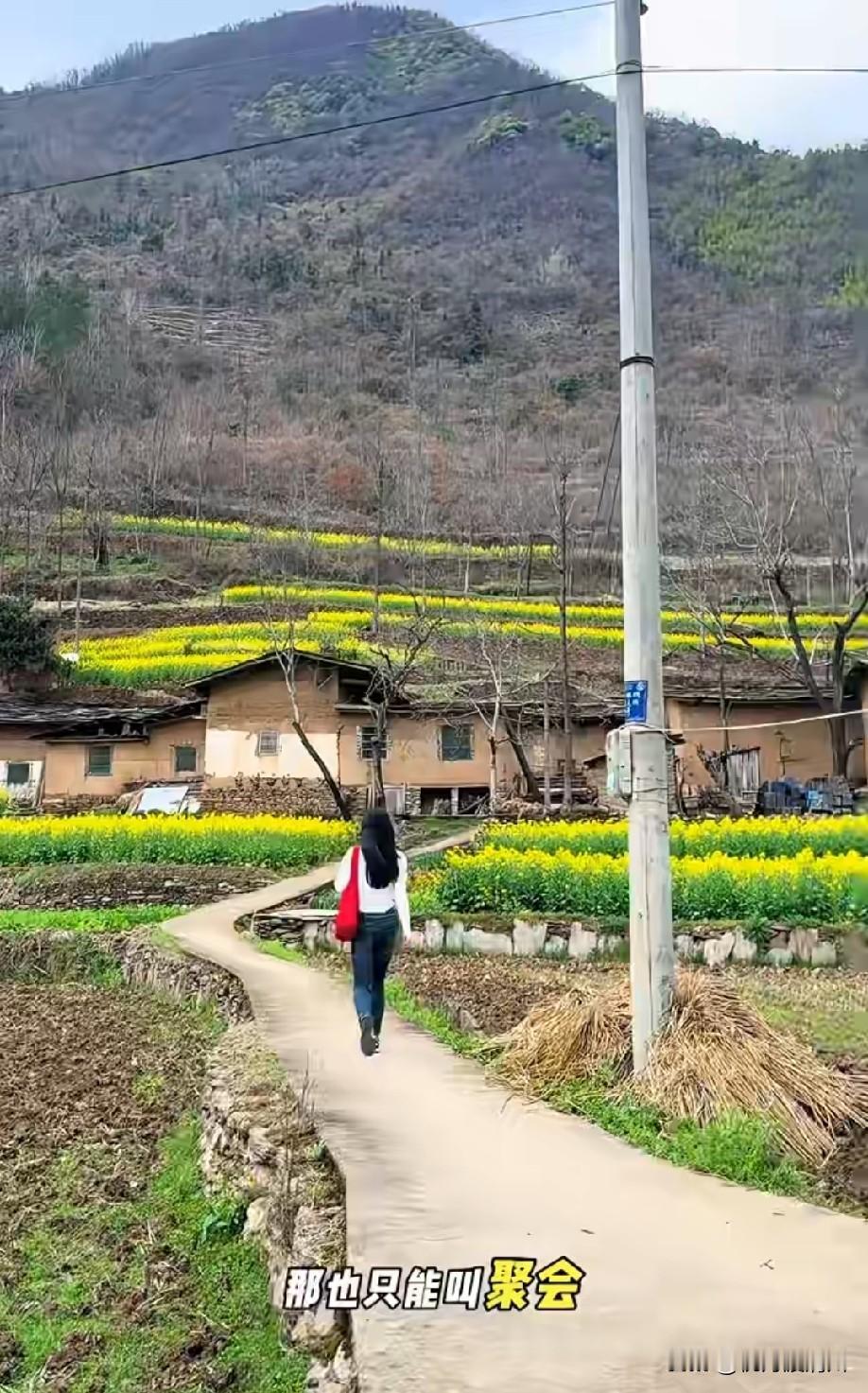 风景这么美[赞]
