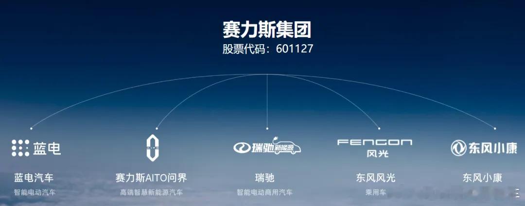 赛力斯又出手了！这次是要剥离蓝电汽车，也就是蓝电汽车的经营财务数据，不再影响赛力