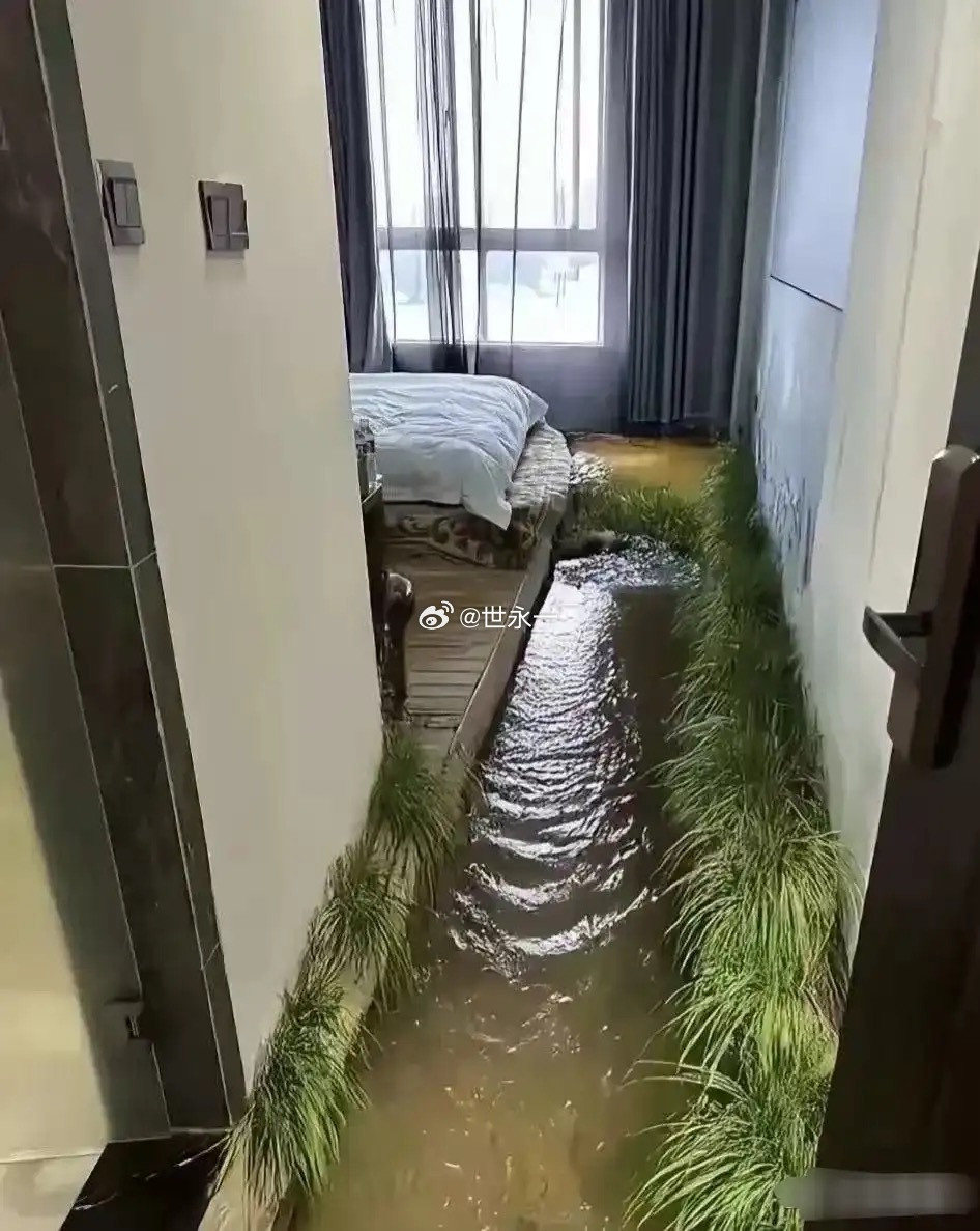 搞不懂，真有人住这样的民宿吗？