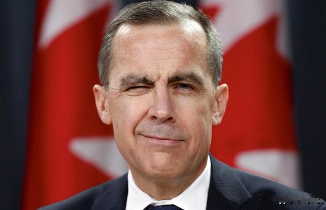 加拿大总理马上访华了，看似对美国施压，实则拿我们当博弈的筹码。卡尼这趟行程