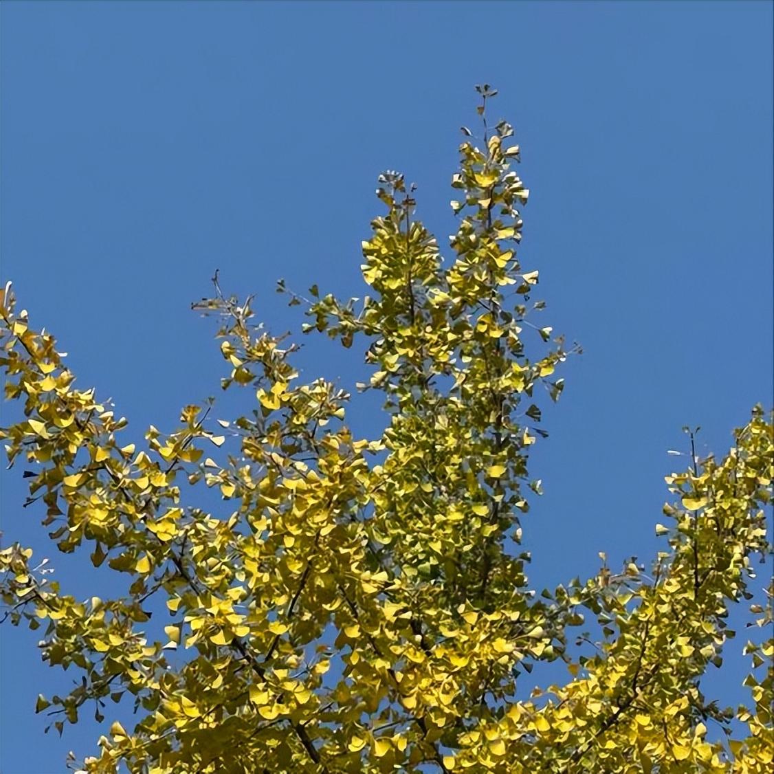 这条信息  是关于昆明市原官员的 11月19日，一条关于昆明市原官员的信息