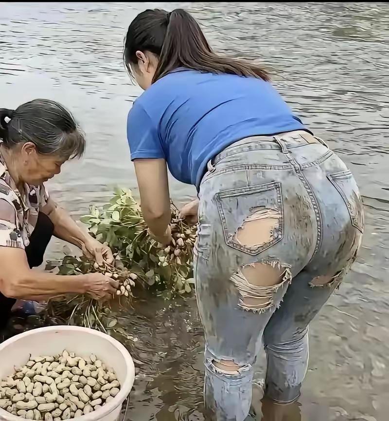 破洞牛仔裤现身田间，这画面确实够有冲击力，也难怪引发网络热议。有人觉得这和农村的