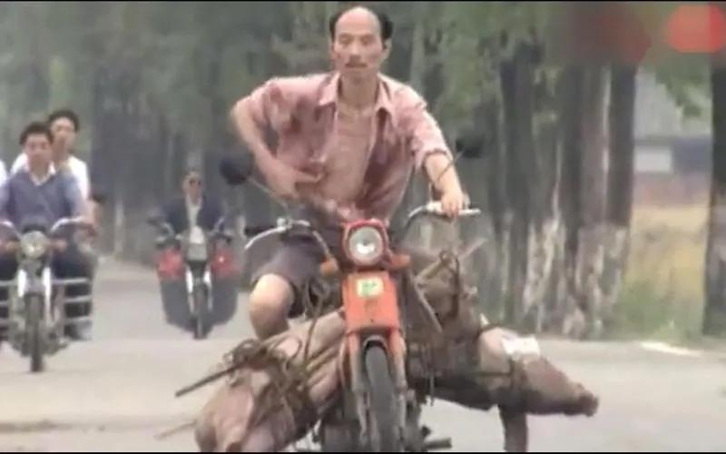 🌞1979年妻子因为李伯清穷而离婚，小儿子判给了前妻，大儿子跟了他。 