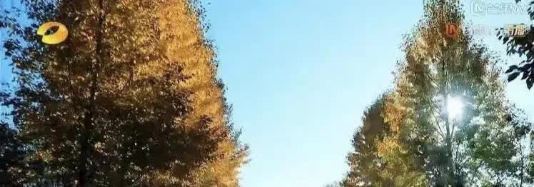 王珂评价刘涛:“需要她炖鸡，她能炖；需要她生孩子，她一年生一个；需要她复出，她也