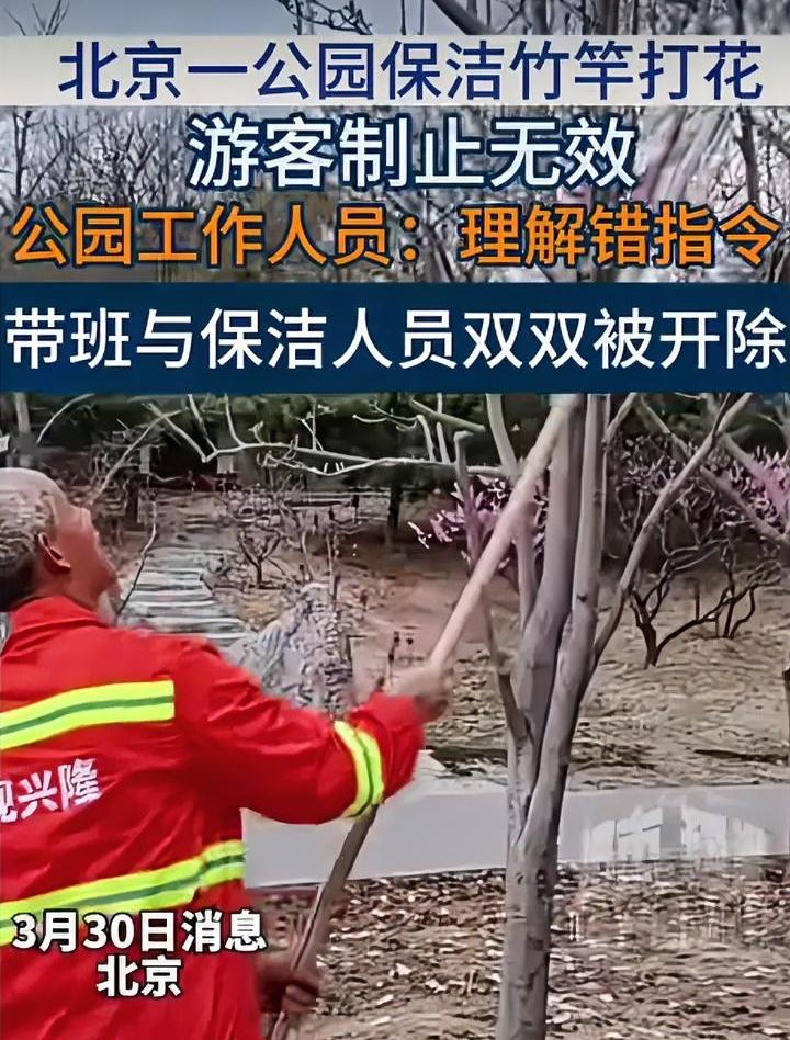 保洁因打花被开除，舆论影响非但没消除，反而引爆了更大的争议。这几名保洁员真是