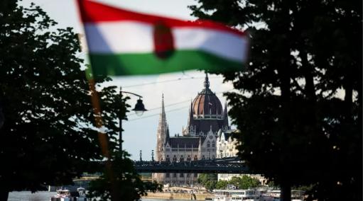 扎心了，匈牙利议会已经通过法案，决定冻结从乌克兰没收而来的4000万美元、350