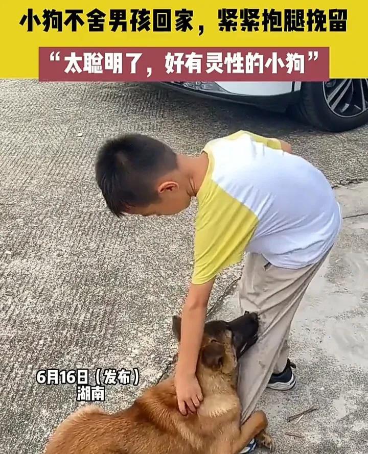 看哭了！6月16日，湖南一名网友发视频称，自己带孩子回老家住了几天，家里养的小狗