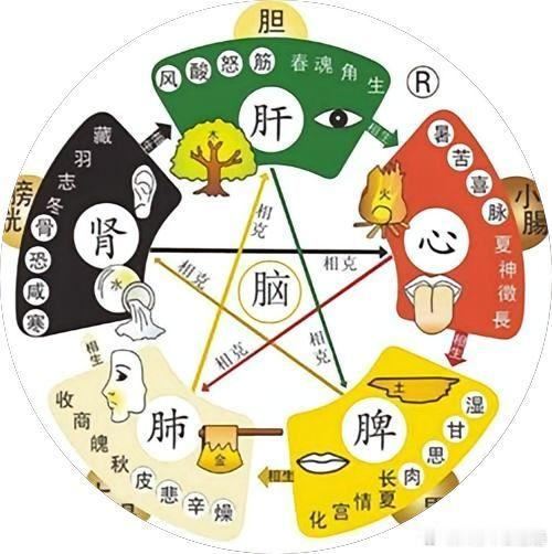 肾不好多淫，肺不好多汗，脾不好多痰，中医教你正确补肾化痰止汗1.肾不好多淫主要症状：虚烦烦躁，潮热盗