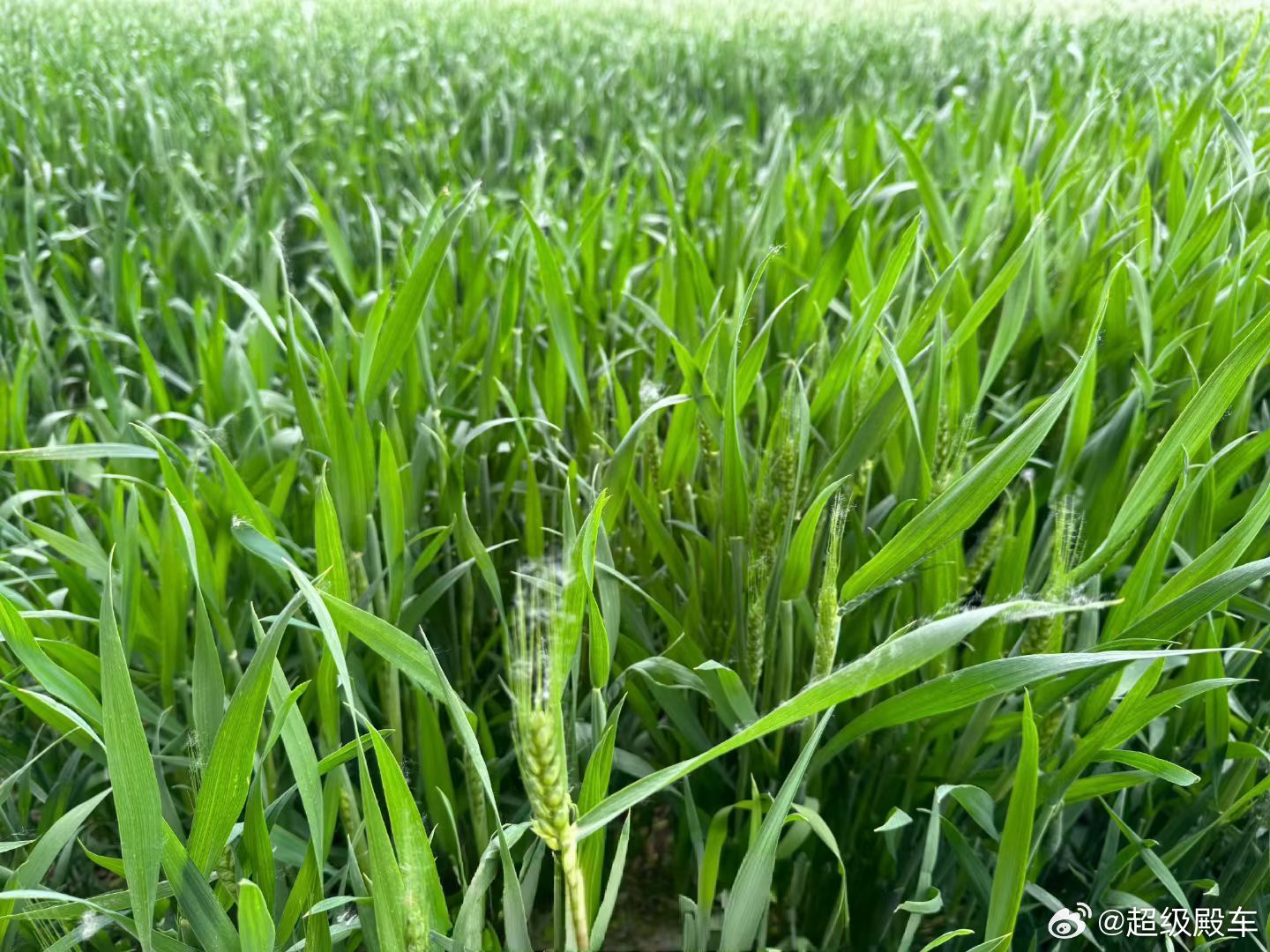 运动不分年纪，单纯从生命质量的角度，“活到老，动到老”。青年运动，是为了“有资本