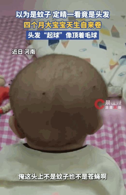 差点解释不清了！河南，一位宝妈当时正在给孩子收拾护理，一抬头就看见娃脑袋上趴着个