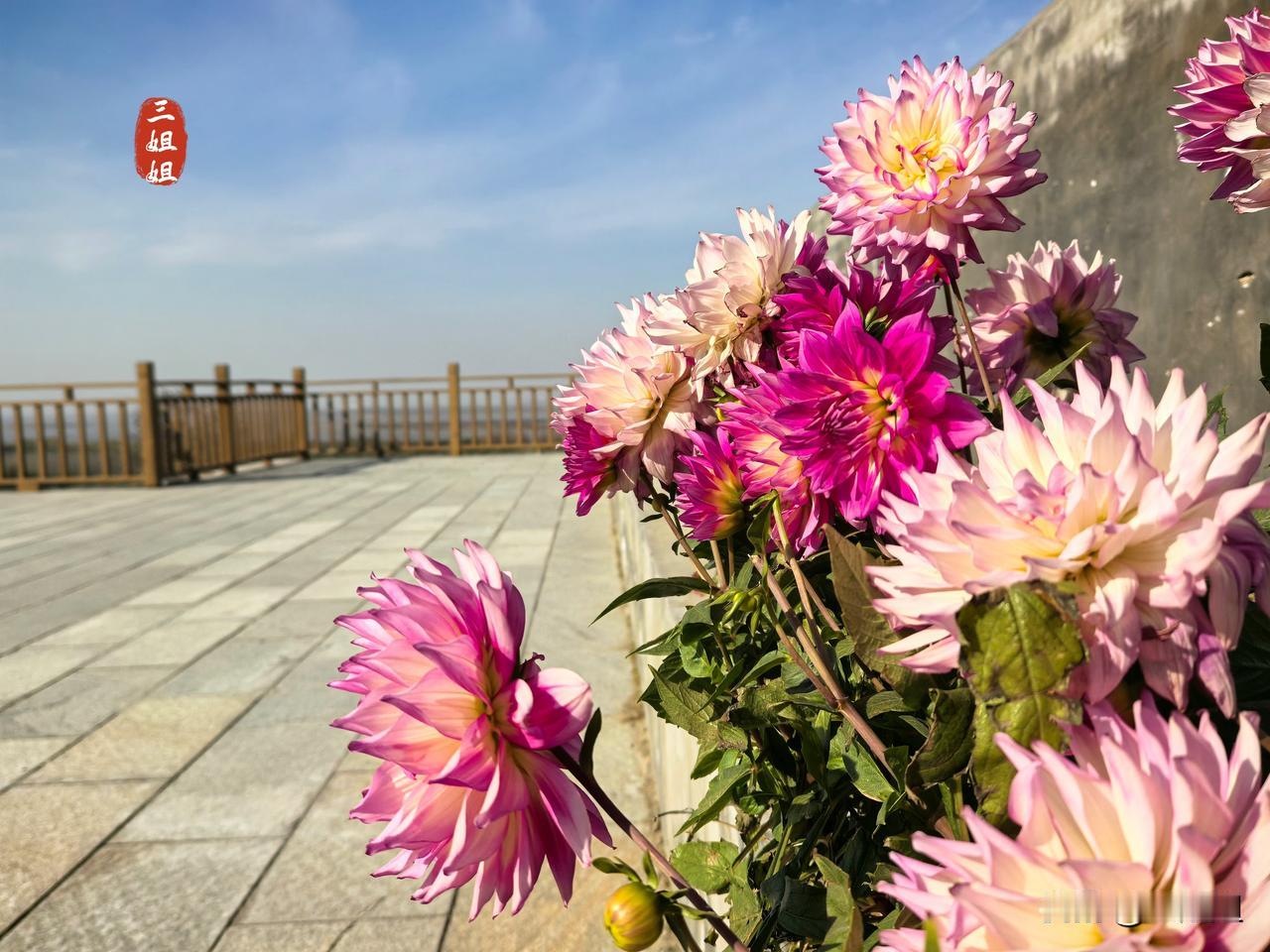 宿黄河之上民宿，赏黄河生态美景，尝野生黄河大鲤鱼。从郑州开车走沿黄快速路直达九