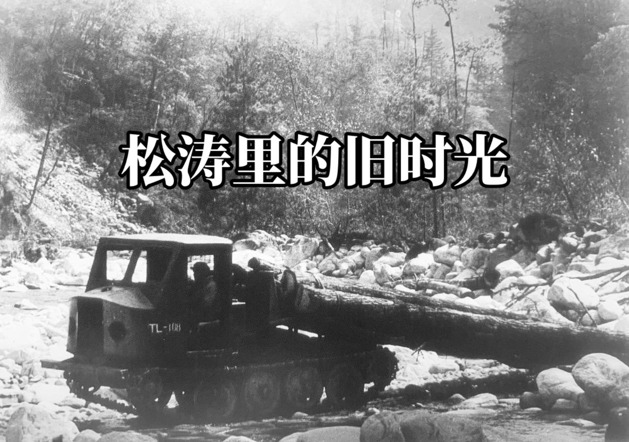 1987年的那个夏天，秦岭深处的太白县城，还裹着山林独有的清凉绿意，而坐落于此的