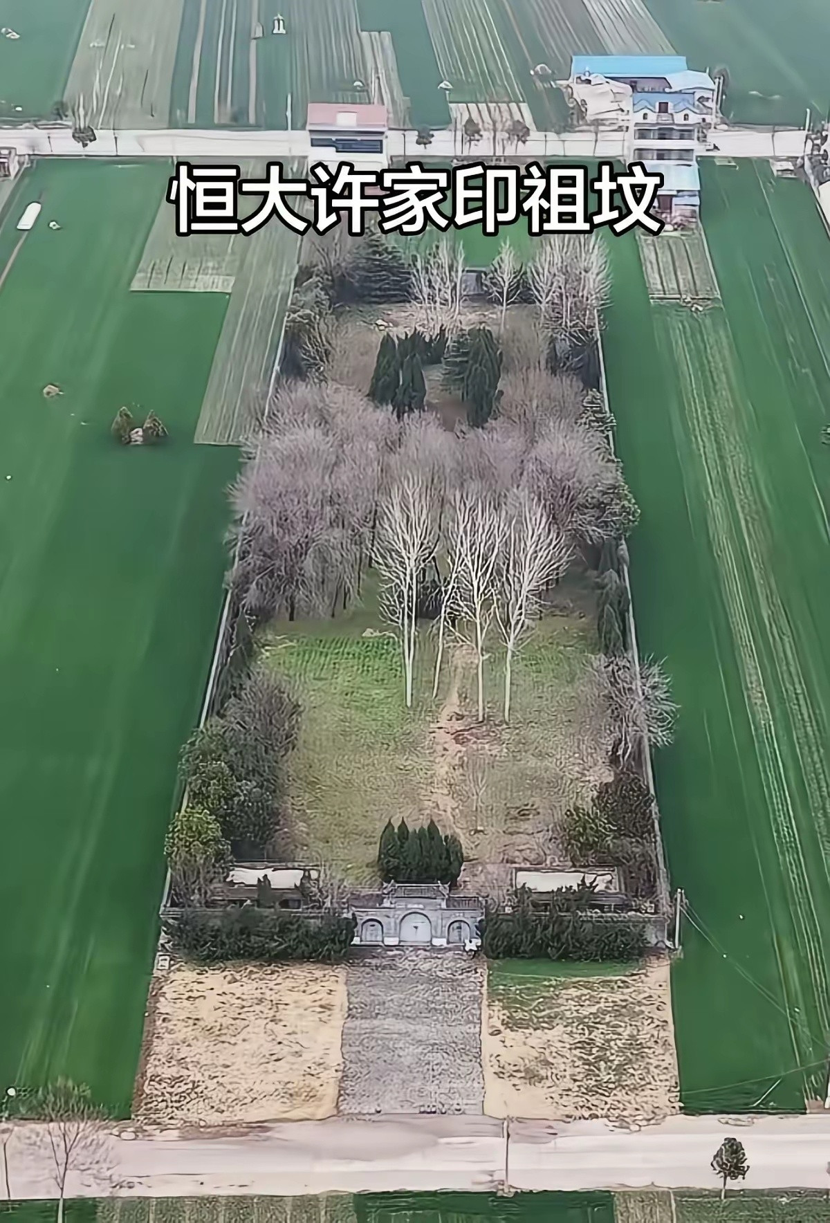 许家印祖坟，有没有可能，这块地的下面埋有黄金或者大量的现金？