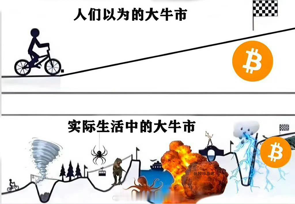 前几轮牛市，那才是真·普涨盛宴——抬头就能蹭到行情，BTC一路稳稳向上，节奏顺得
