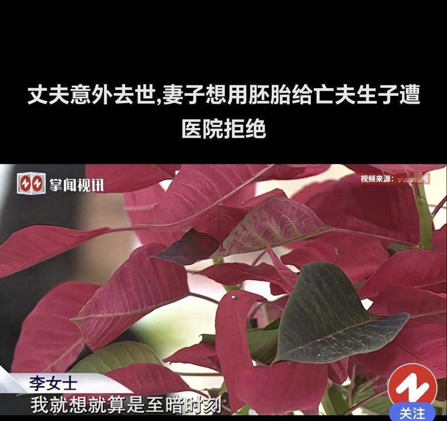 李女士和丈夫努力借助试管技术求子,过程艰难但也有了希望。李女士成功生下一子,可命