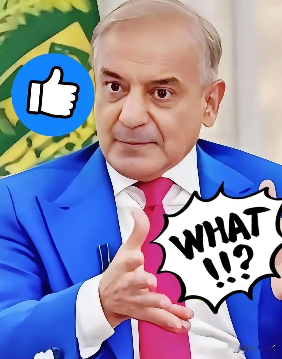 就在今天，巴基斯坦正式宣布了！11月23日，巴基斯坦总理谢里夫宣布了一个