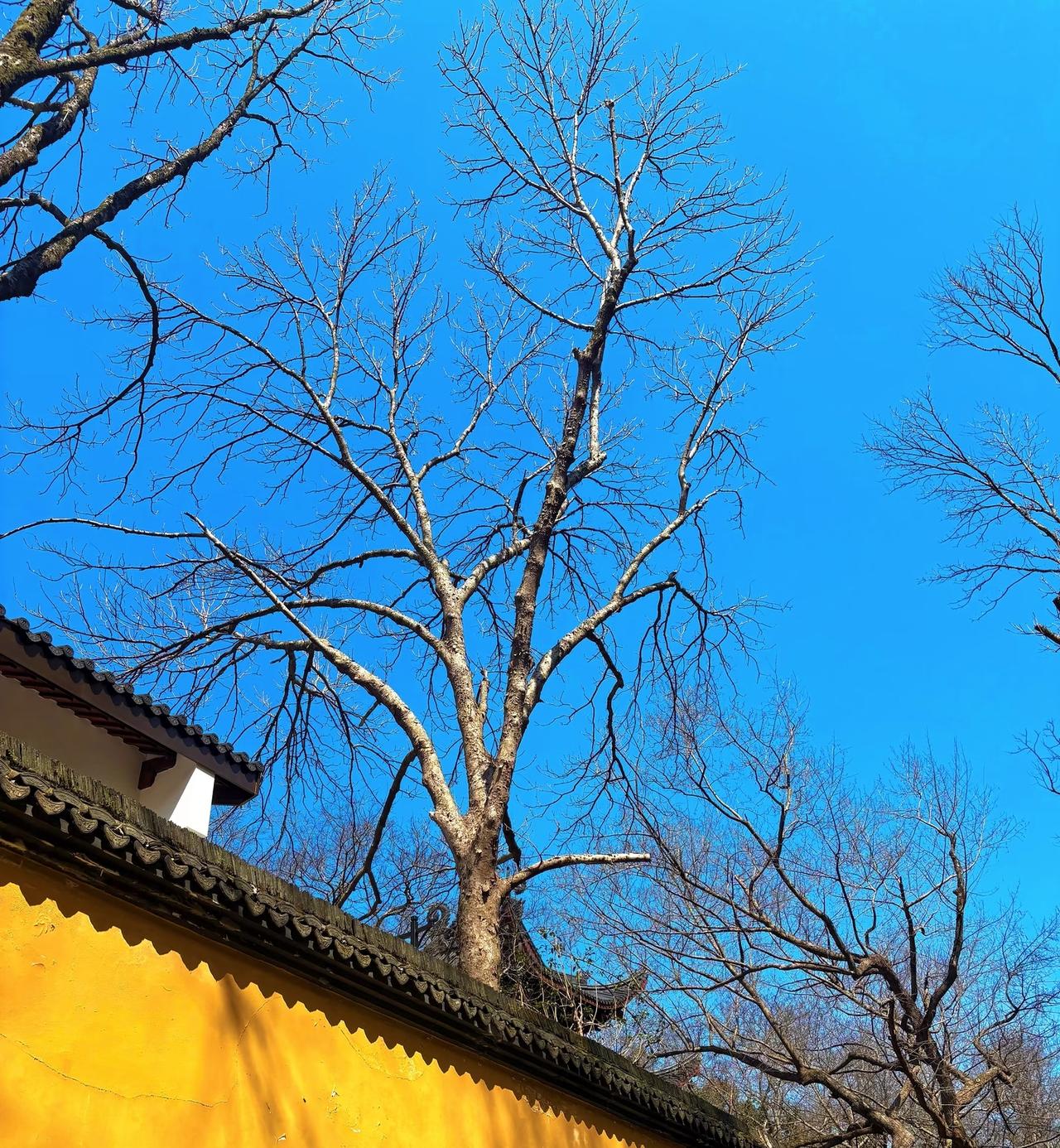 高中同学毕业后留在县城旁边的村里，我当时劝她出来，毕竟上了大学，好歹出来就能