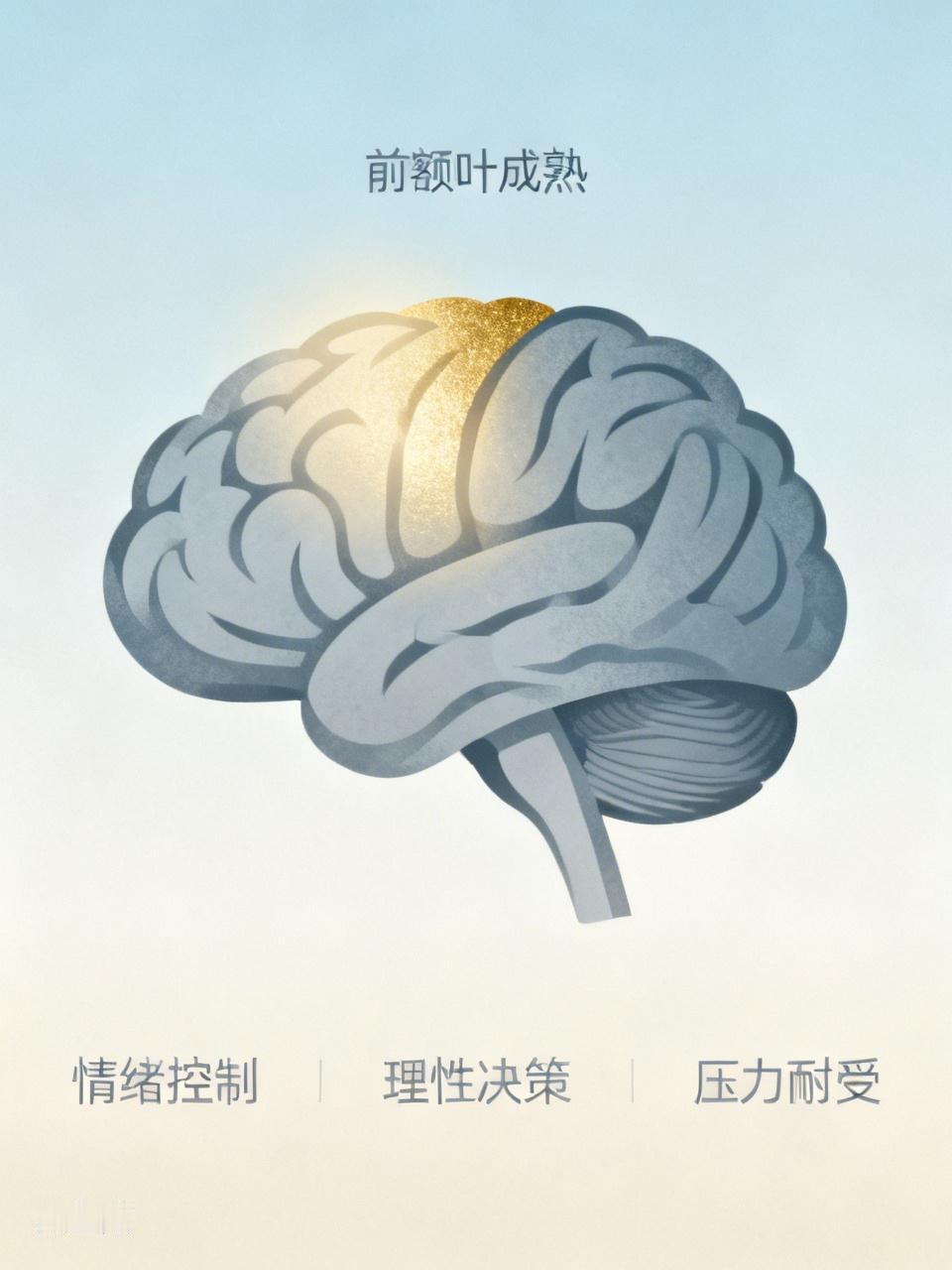 原来前额叶成熟，是这种感觉终于知道为什么很多人到了25岁前后，好像突然就“