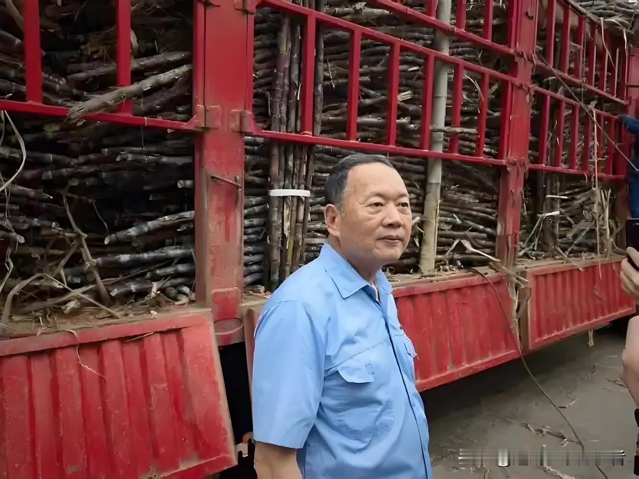 广东化州的一家糖厂，由于甘蔗大面积滞销，几百辆货车排起了两三公里的长队等候。司机