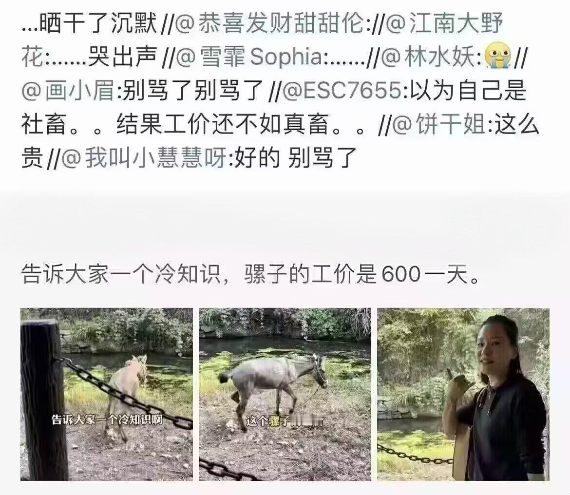 你的意思是我还不如骡子的工价高呗