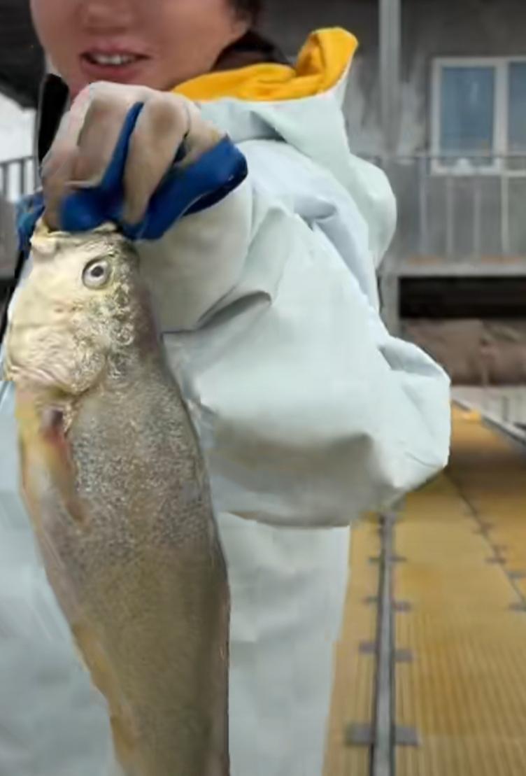 浙江舟山东寨岛的招聘信息一经发布，没想到咨询电话成了热线！好多人把这个工作想