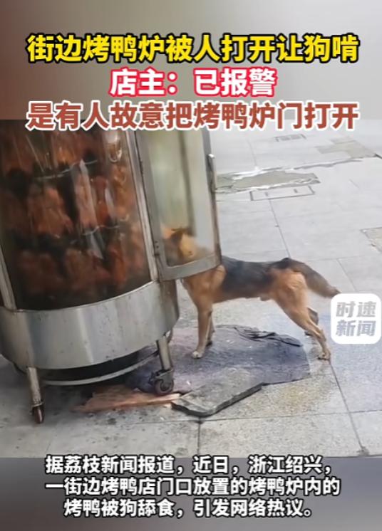 “太过分了！”8月23日报道，浙江绍兴，一个街边烤鸭炉旁，炉盖打开了，一条狗闻着