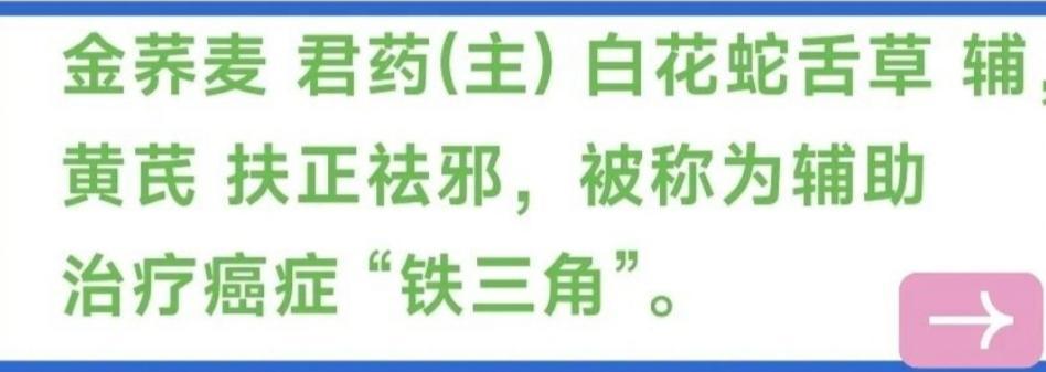 治癌稳定病情--试试仙鹤草、七叶一枝花，都可以单独搭配黄芪泡茶喝，+米