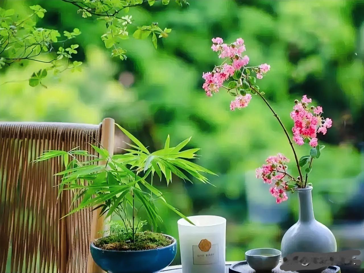 老人到晚年还能做这6件事，不是有福气有好命，而是真活通透了人到晚年，还能做很