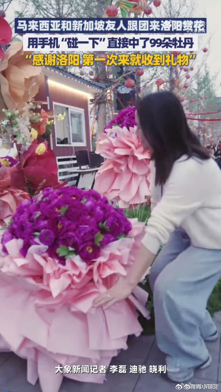 外籍友人组团来洛阳赏花外籍友人来洛阳，与牡丹赴约。穿上汉服漫步花丛，品味非遗，千