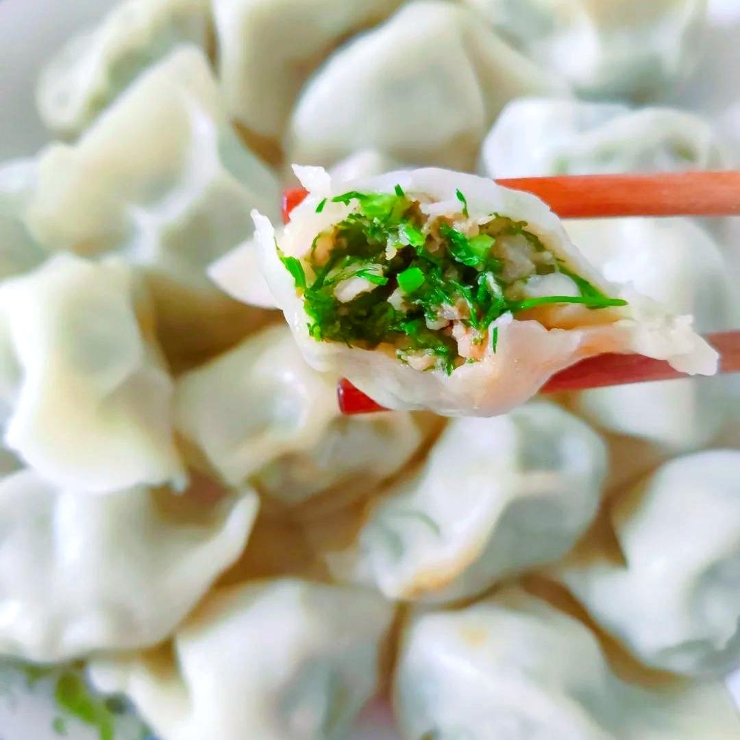 什么馅的饺子是你的最爱?我最喜欢的小茴香馅儿的尤其是新鲜的那种跟鲜肉混合在